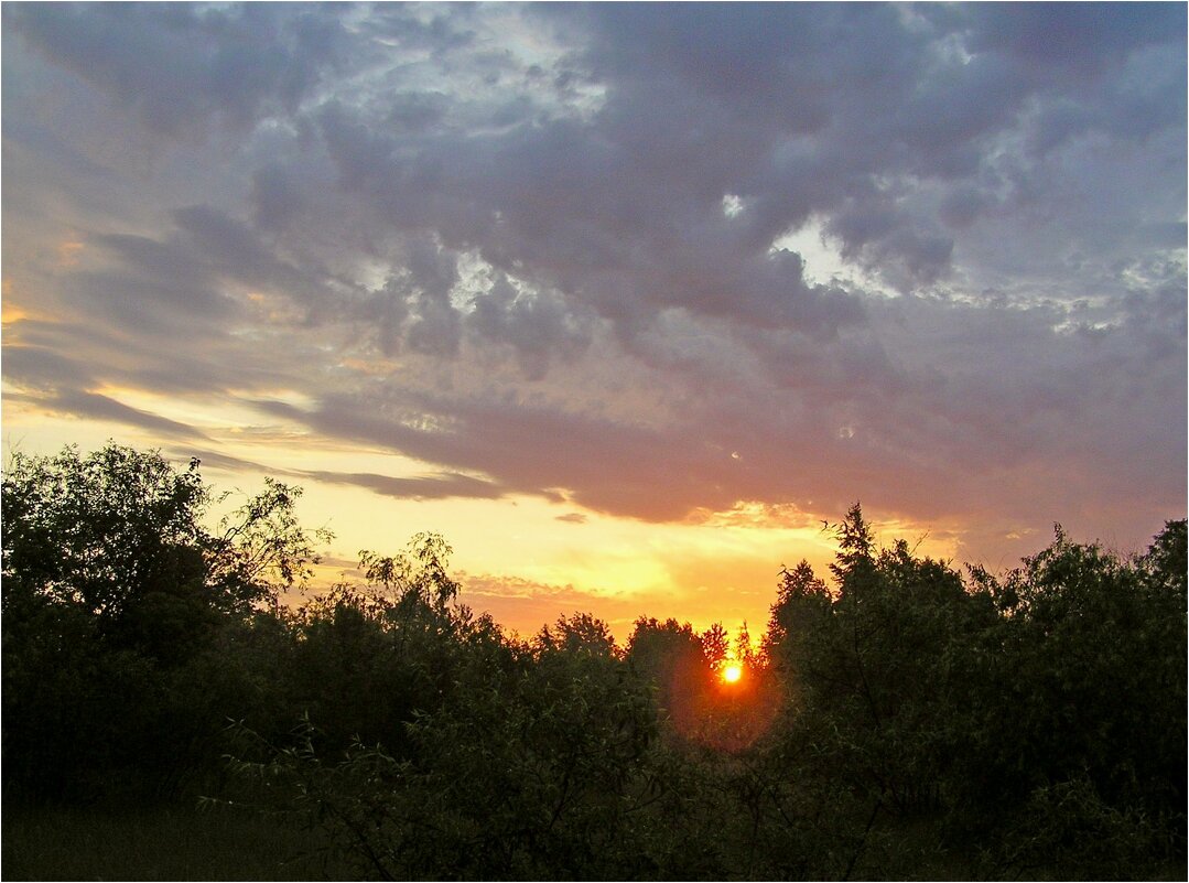 Холодное утро - Геннадий Худолеев Худолеев