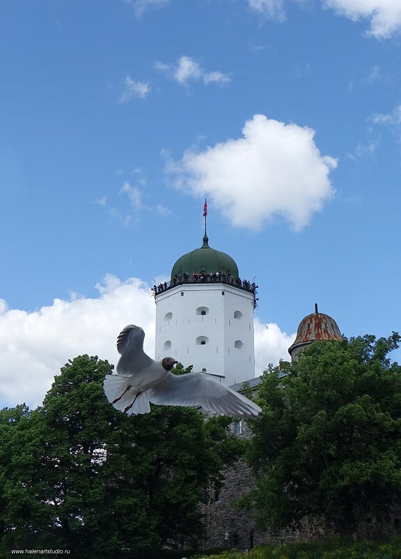 в Выборге - Игорь Корф