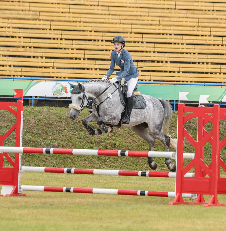 Полет - Анатолий Шумилин