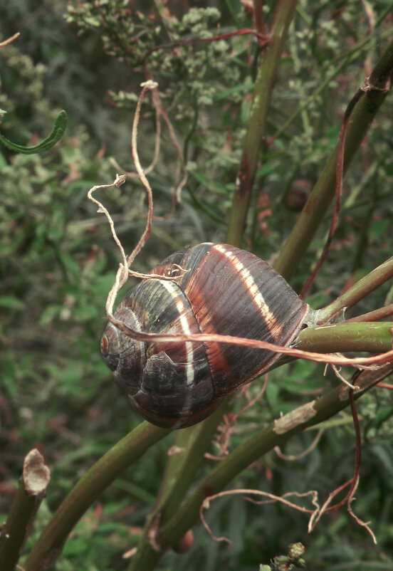 *** - Лера *** - Лера