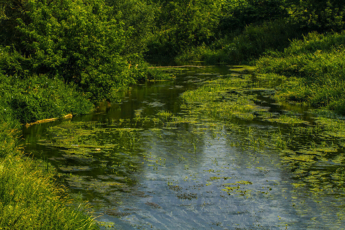 Узкие места реки Яхрома. - Петр Беляков