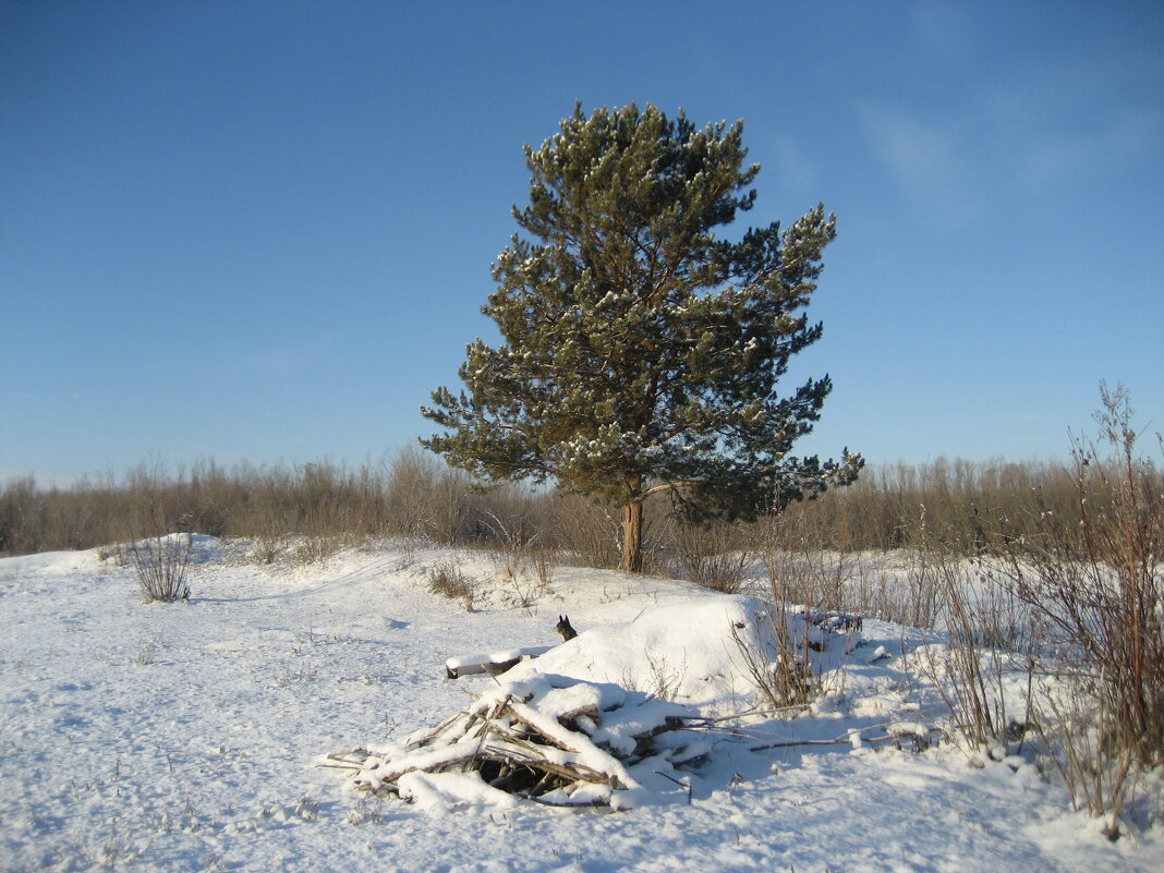 На острове - Anna Ivanova