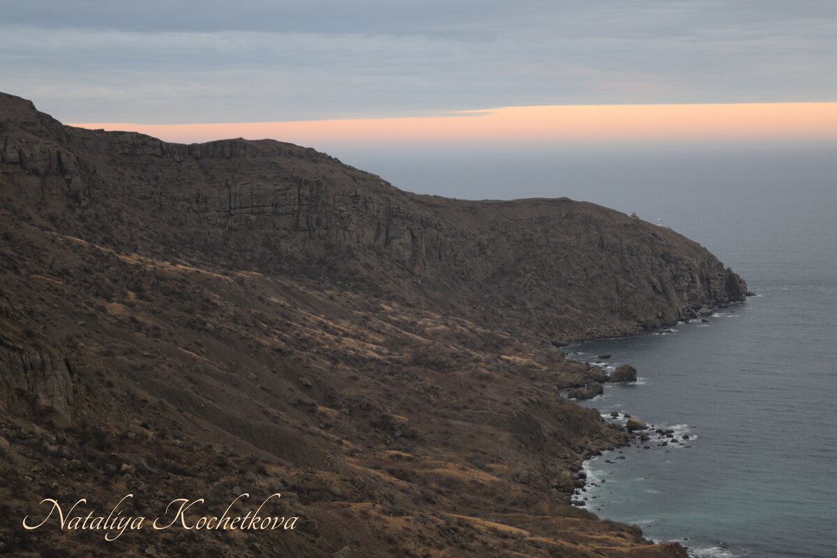 Природа Крыма - Amazing Cosmea
