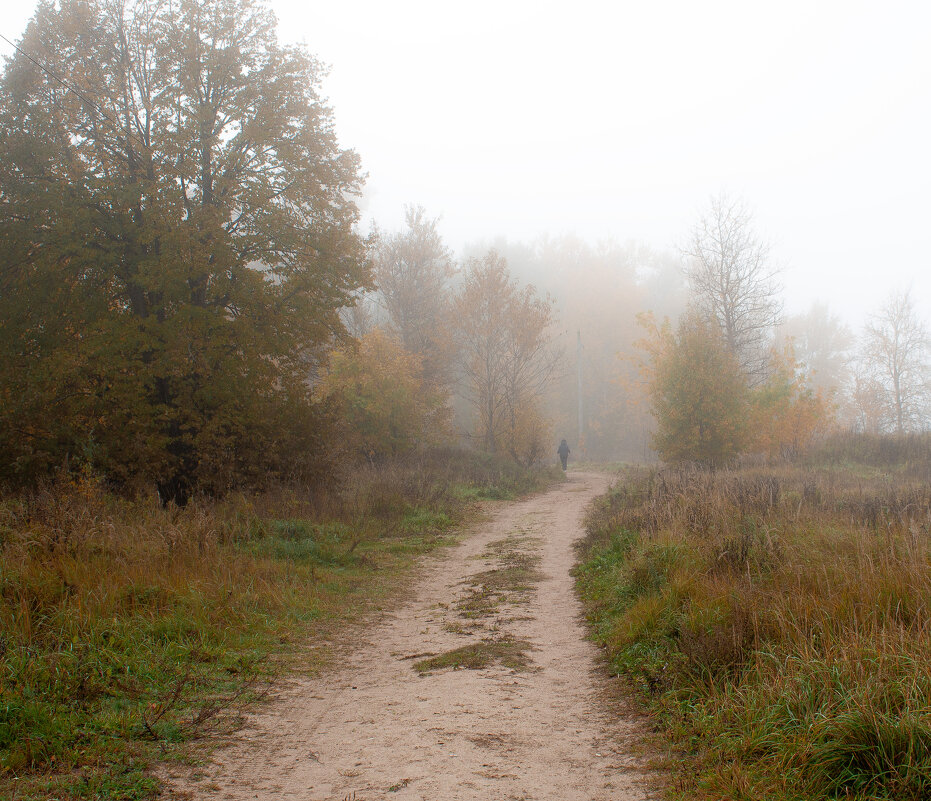 туман - Владимир Зеленцов туман - Владимир Зеленцов