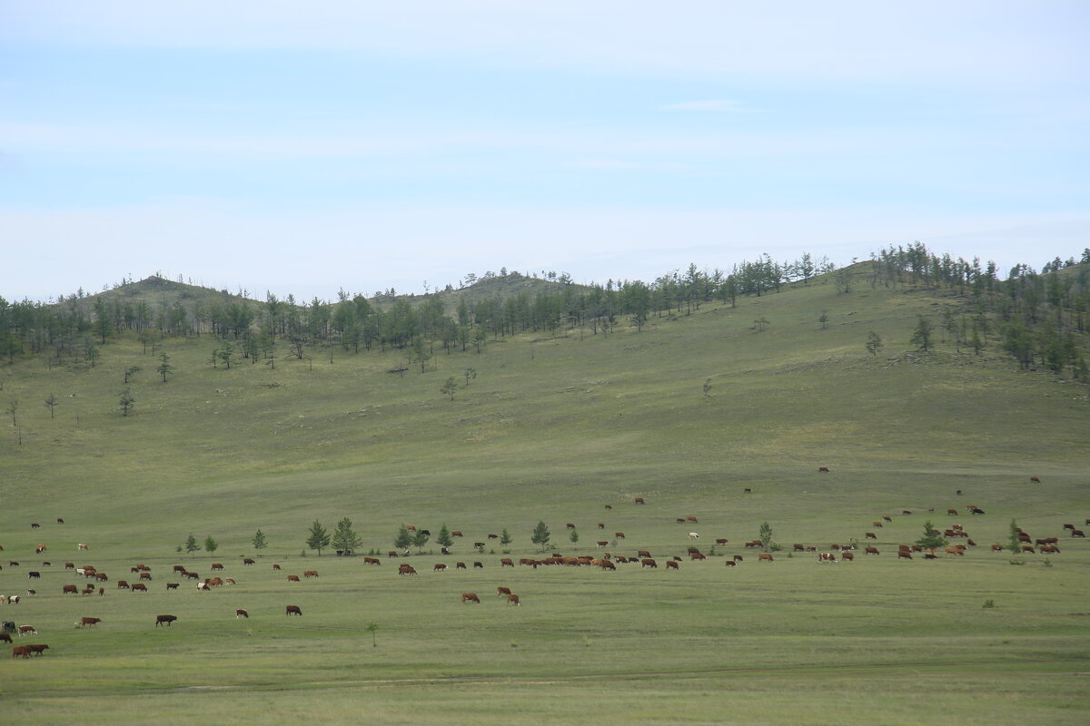 Остров Ольхон - Танзиля Завьялова