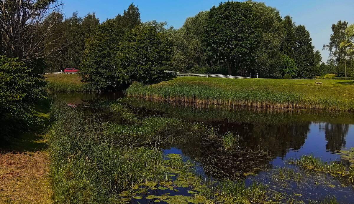 Август у пруда .. - Татьян@ Ивановна