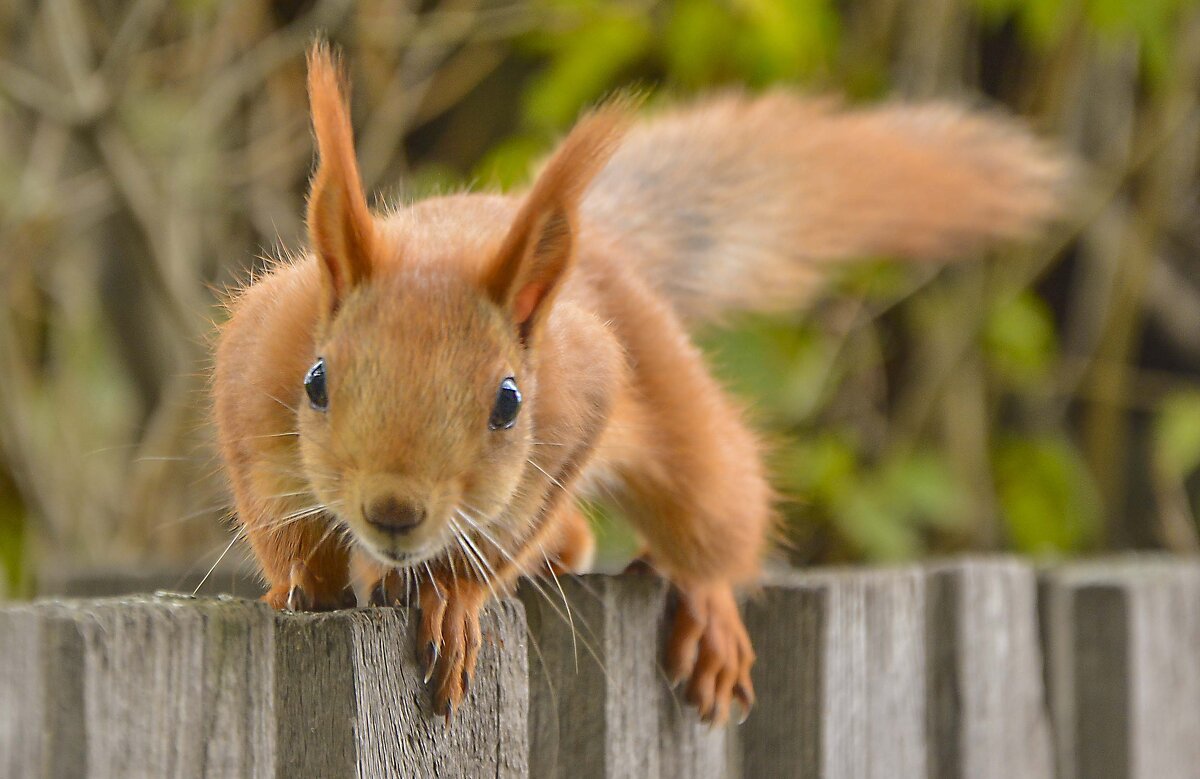 А ты кто ? - юрий Амосов