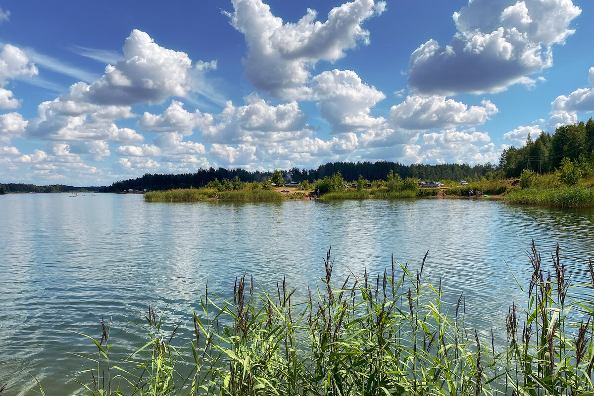 *** - Александр Кислицын