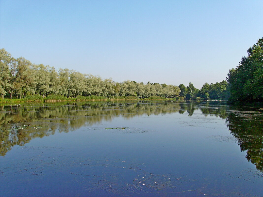 Отражение. - VasiLina *