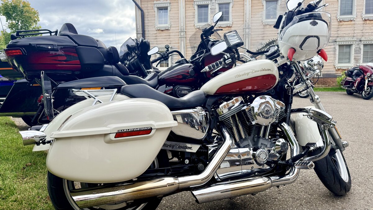 «Опять скрипит потертое седло…» - Арина Невская «Опять скрипит потертое седло…» - Арина Невская