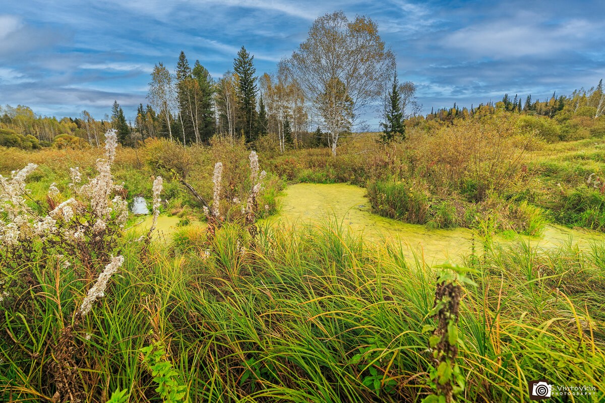 Бобриный Лог, Золотая осень - Сергей Винтовкин Бобриный Лог, Золотая осень - Сергей Винтовкин