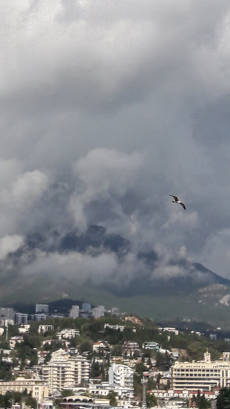 Чайка! - Варвара 