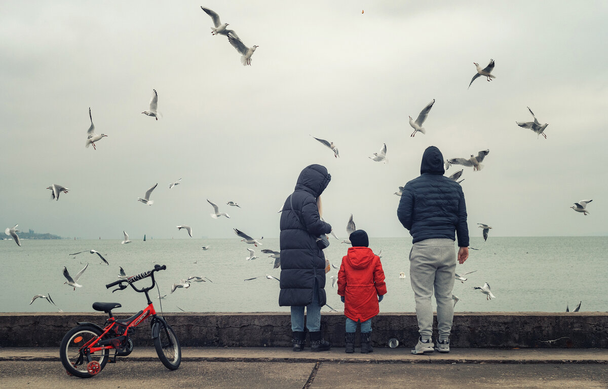 В гостях у чаек. - Анатолий Щербак