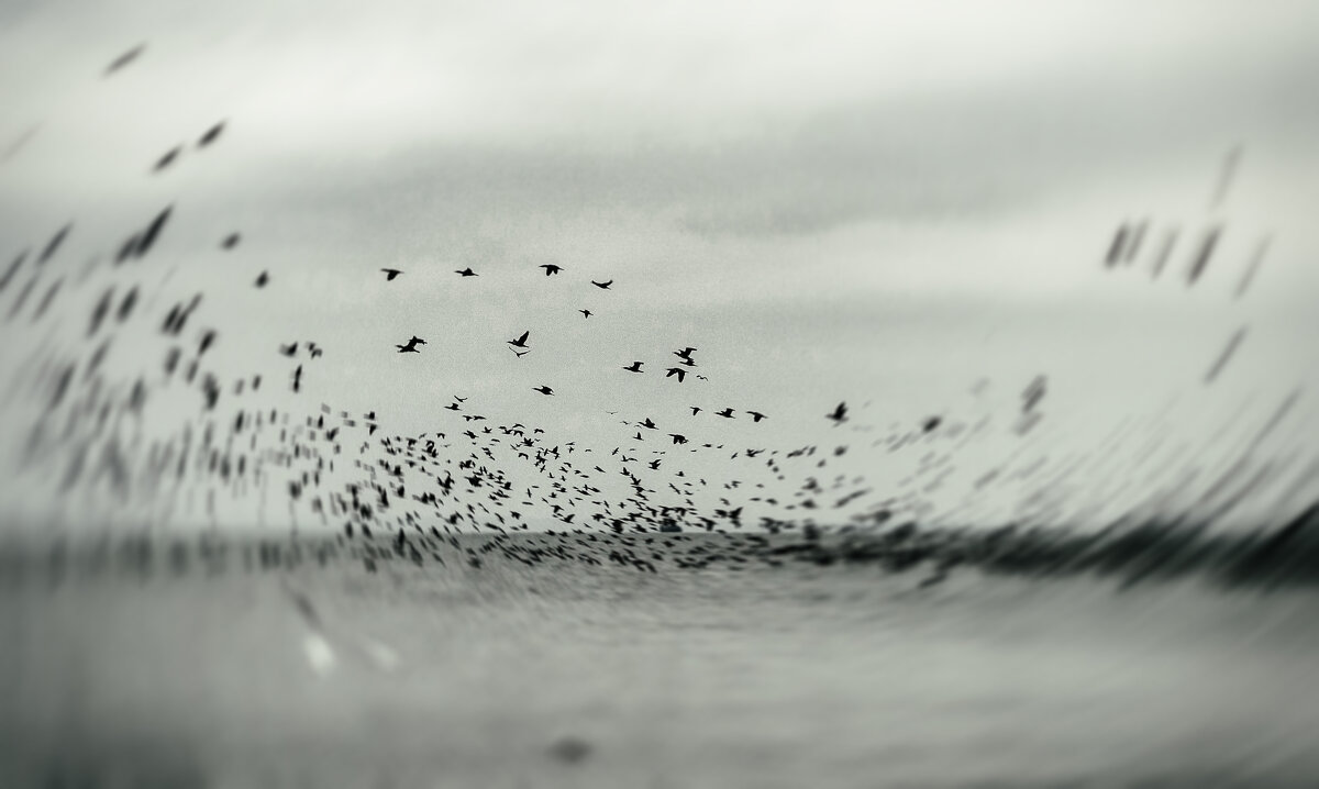 Исход. - Анатолий Щербак