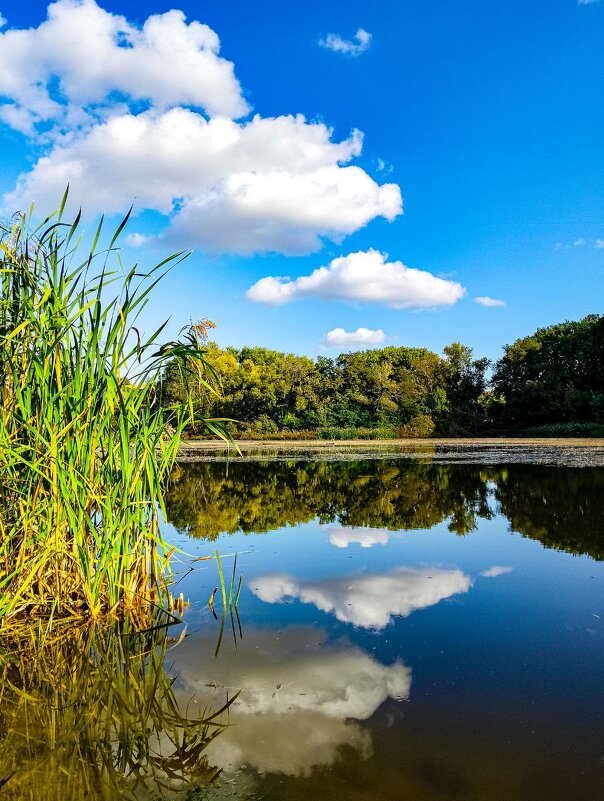 Озеро - Дмитрий Курский 