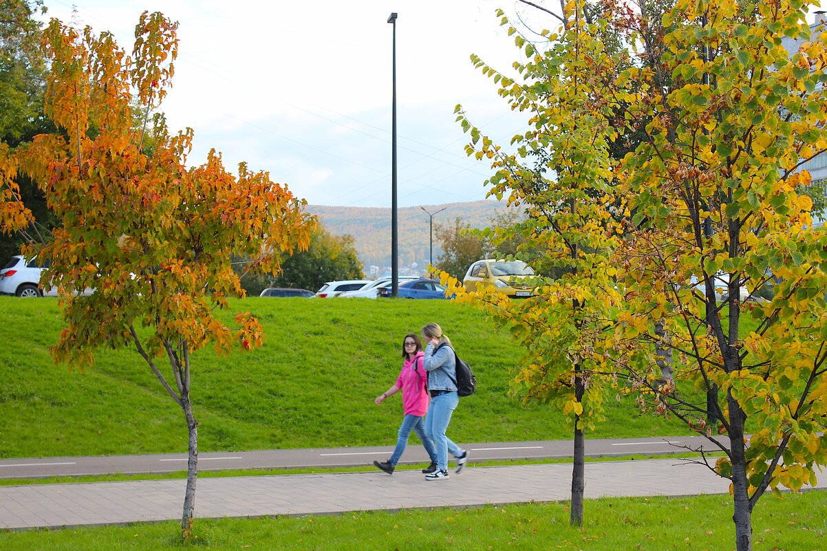 Осенний Красноярск - Василий 