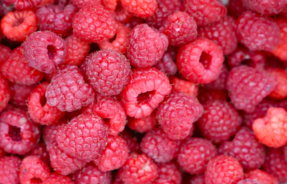 21 сентября - краснов юрий 