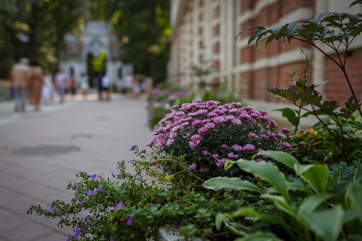 Гуляя в Царицыно - Вячеслав Владимирович