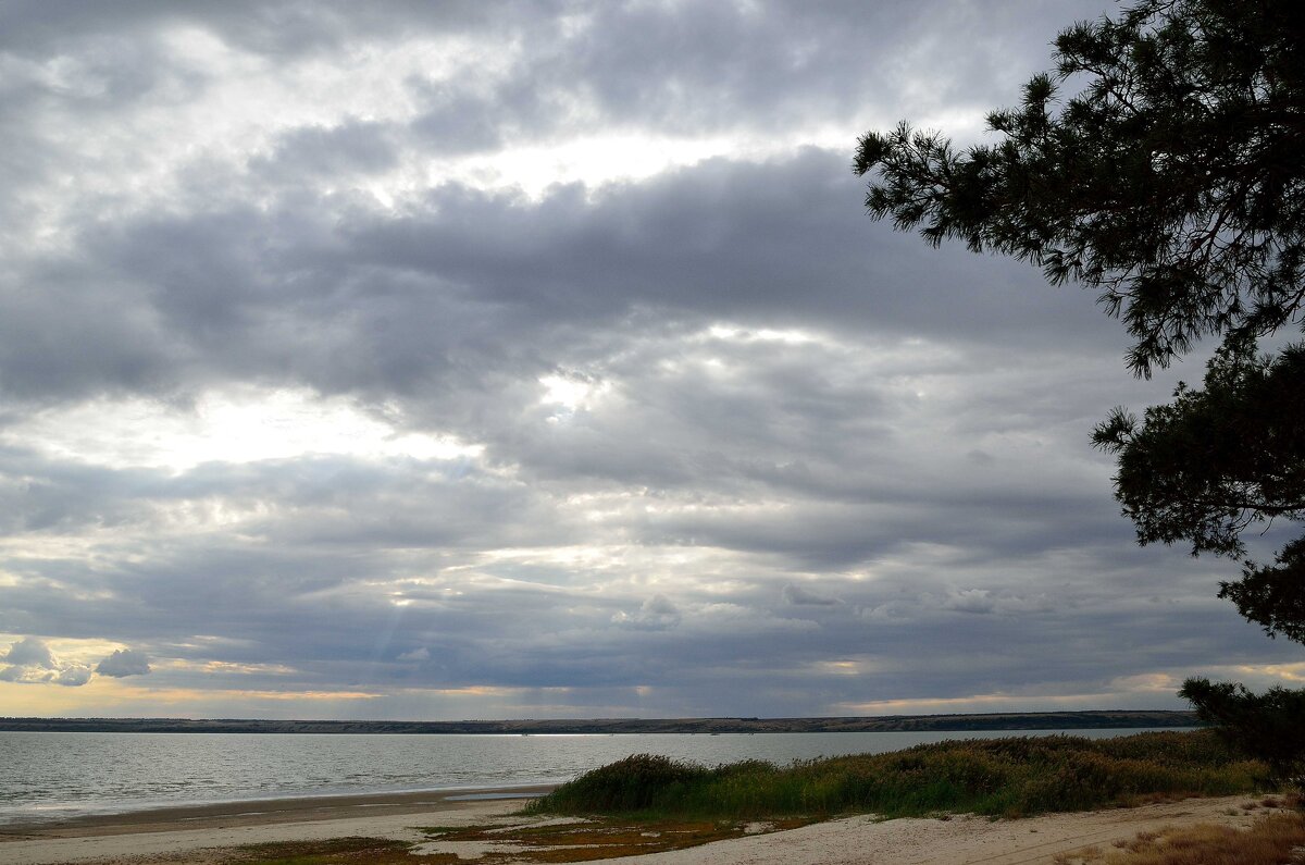 Сентябрьский Дон - Александр Стариков