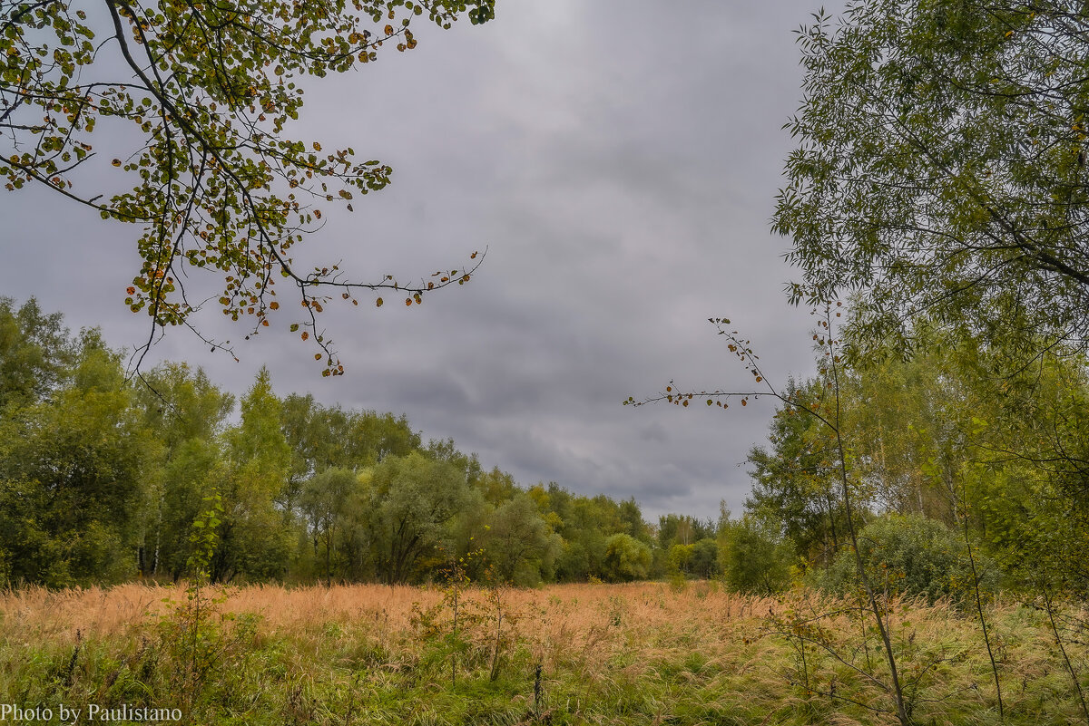 На опушке... - Владимир Жданов