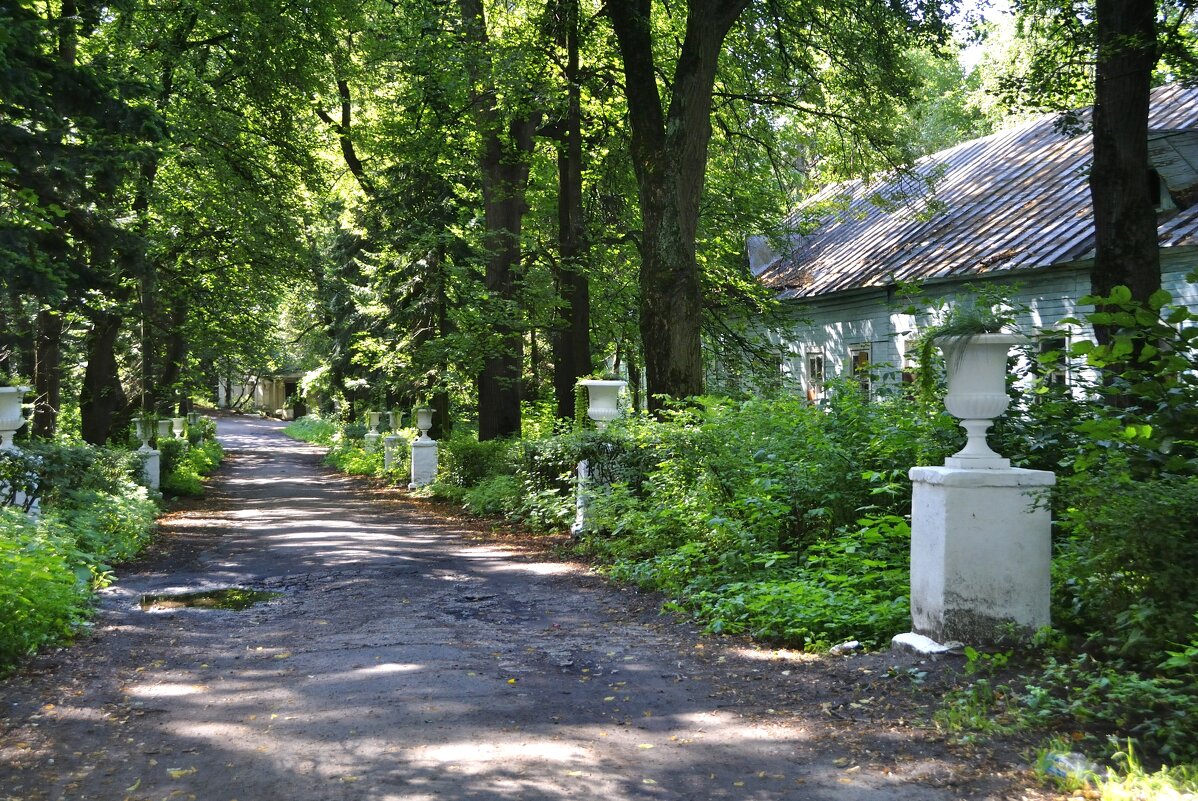 Дорожка к дому в заброшенном имении Быково - Марина Виноградова