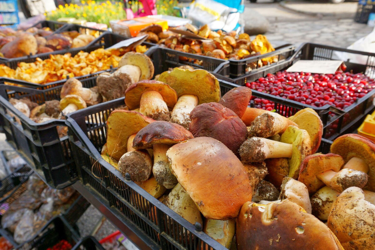 Собирать грибы нужно не в лесу, а на базаре - Эмиль 