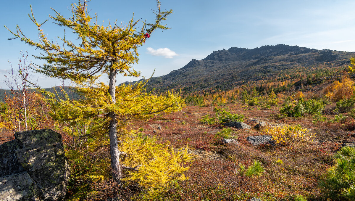 ... - Владимир 