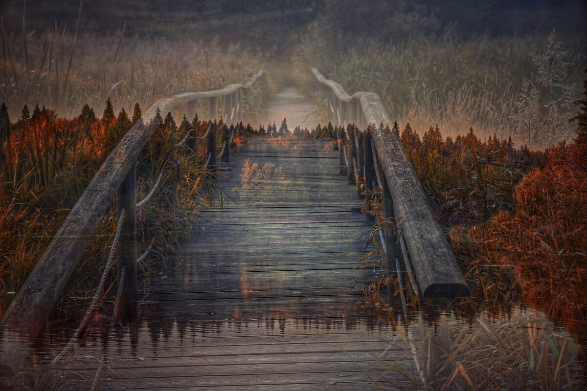 Параллельные миры... - Софья Алавердян