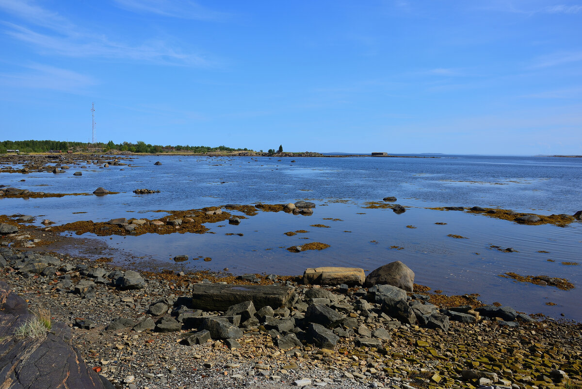 Отлив - Александр Хаецкий