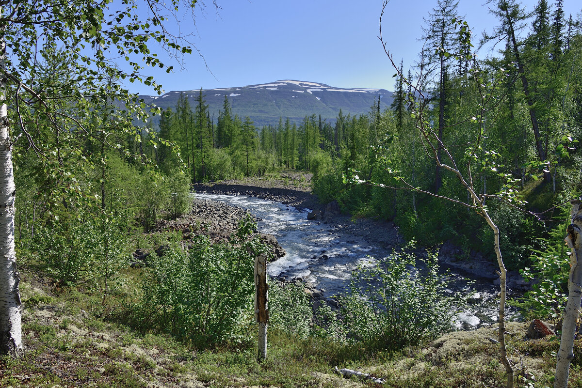 *** - Александр Хаецкий