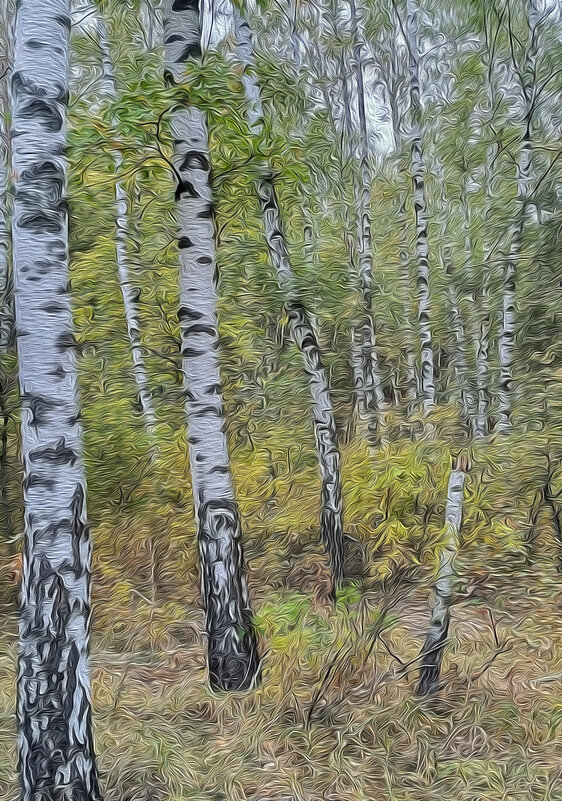 Пойдём со мной к берёзкам! - Валентина  Нефёдова 