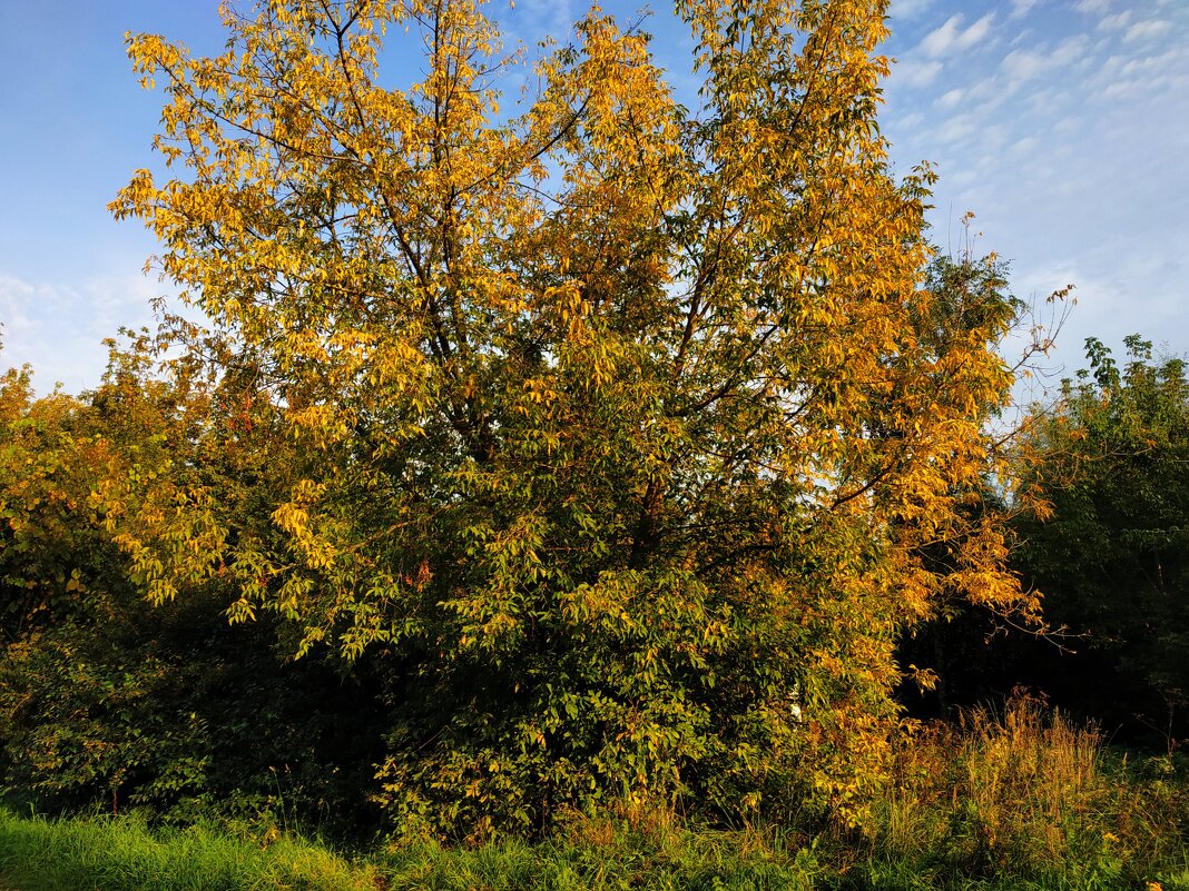 Место, в котором всегда 1 мая - Андрей Лукьянов