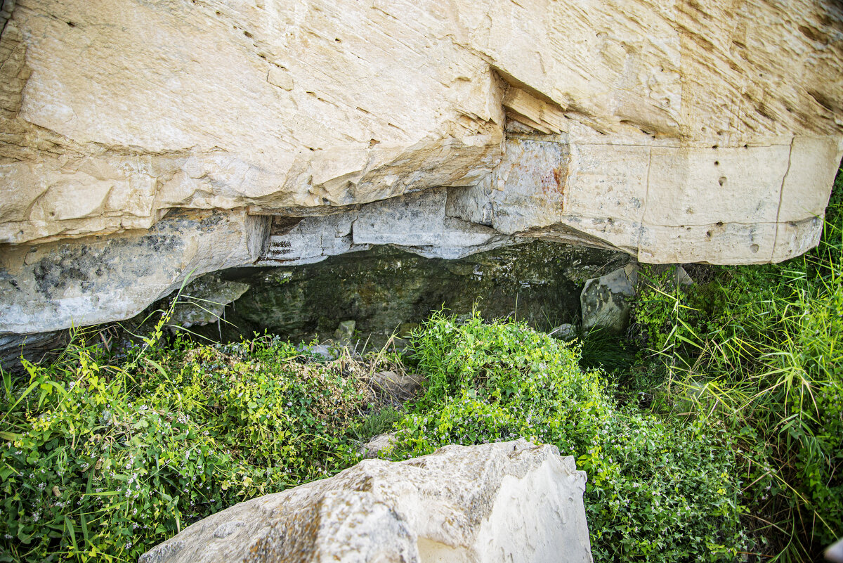Плачущие камни - Анатолий Чикчирный