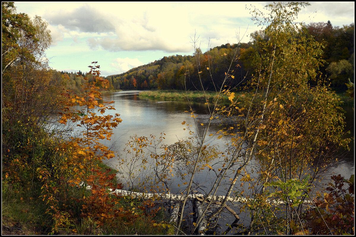 Прекрасная пора - Aleksandr Gal