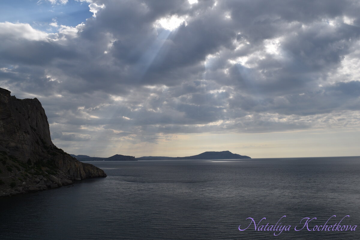 Природа Крыма - Amazing Cosmea Природа Крыма - Amazing Cosmea