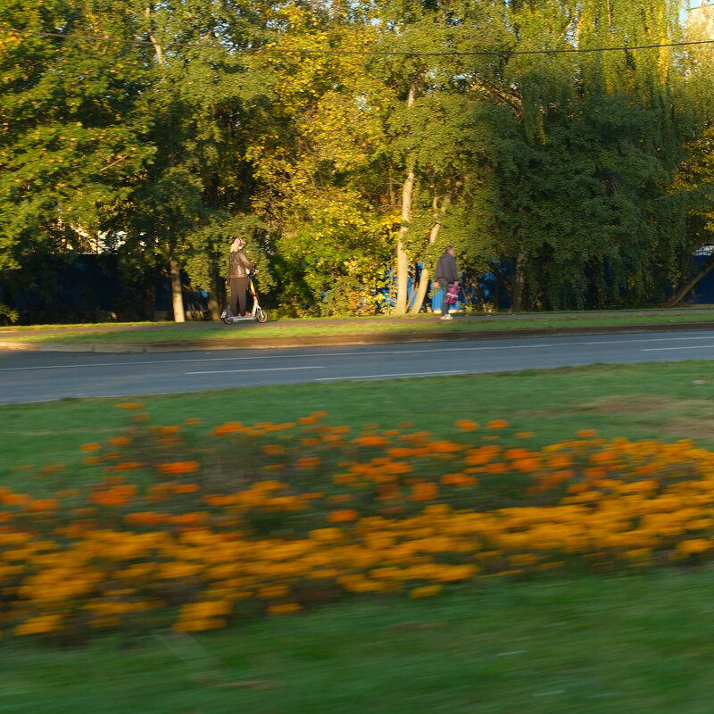 Самокатчица - Лютый Дровосек
