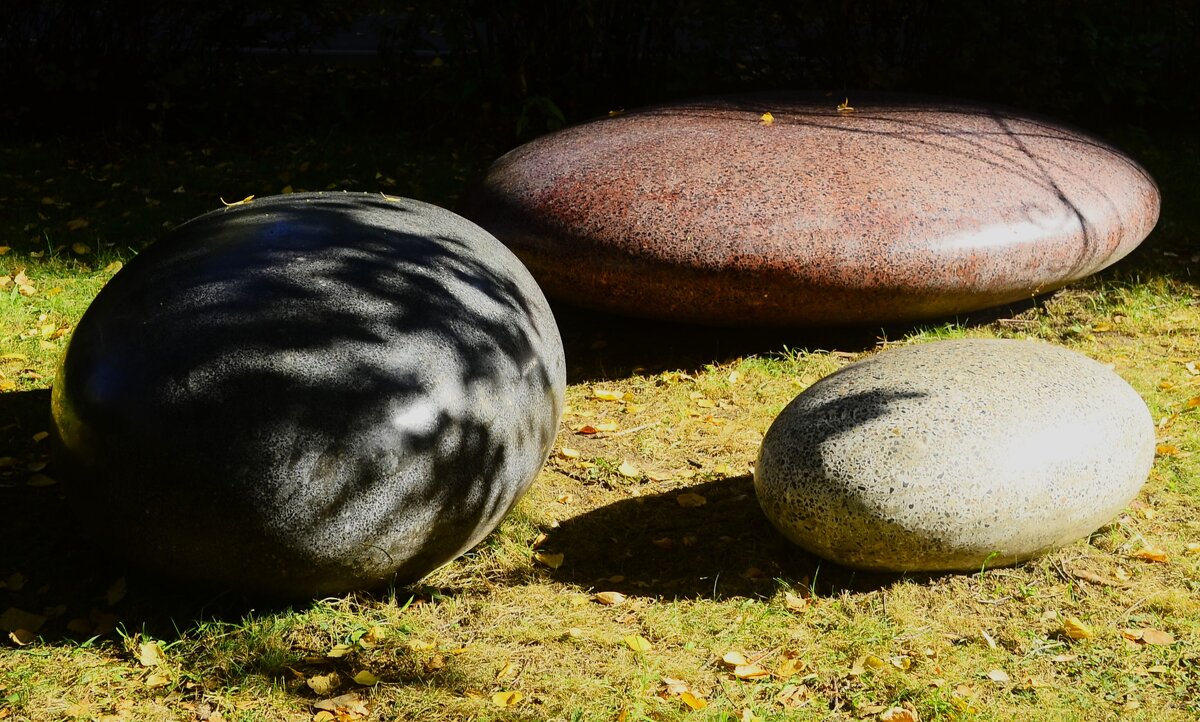 Под сентябрьским солнцем. - Василий Палий
