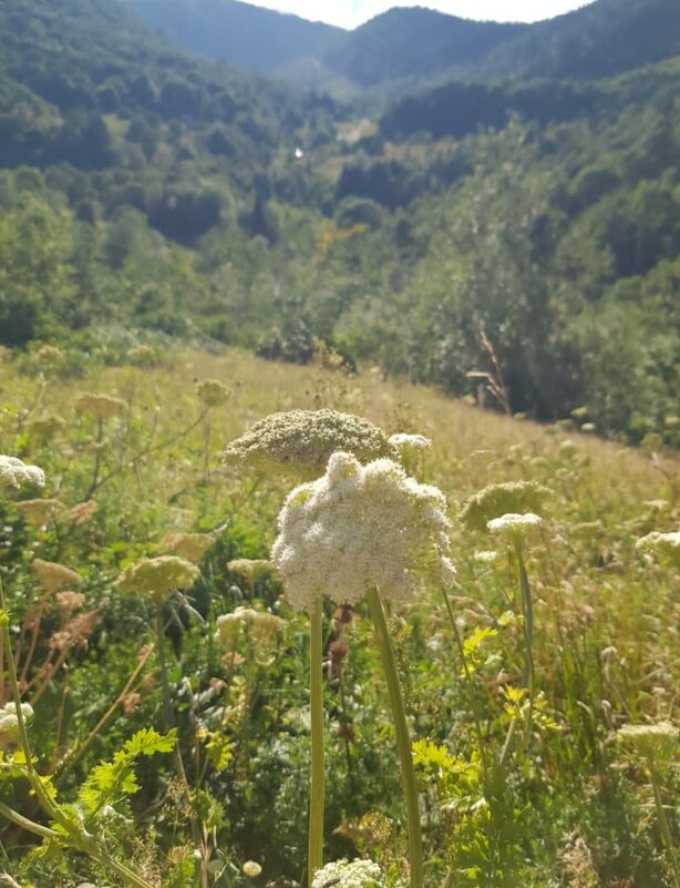 ЗАПАДНЫЙ КАВКАЗ. Пшехский водопад - Tata Wolf