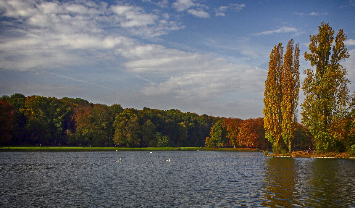 **** - Андроник Александр 