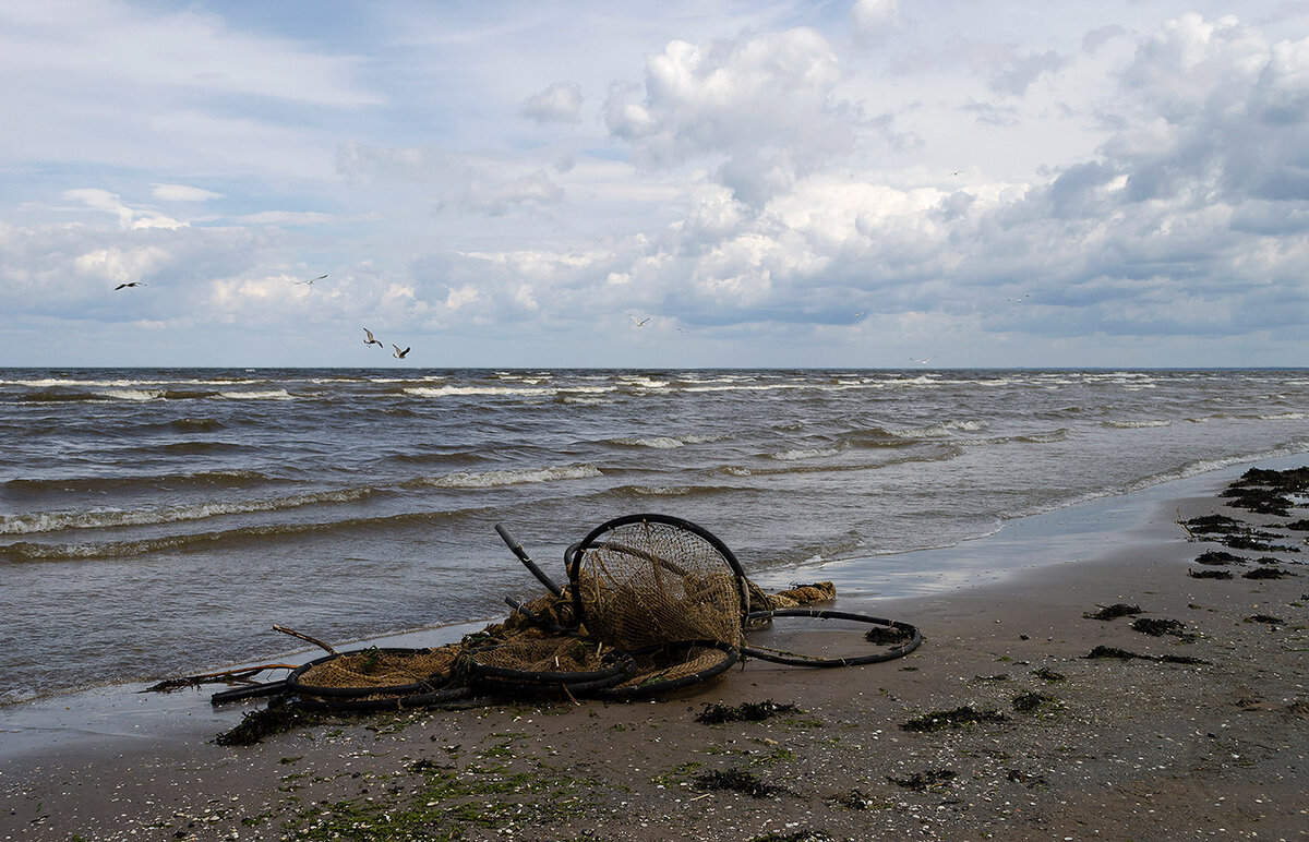 После шторма - Регина 