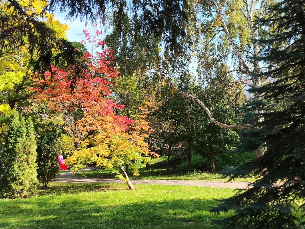 Осень в Самаре - Надежда Осень в Самаре - Надежда