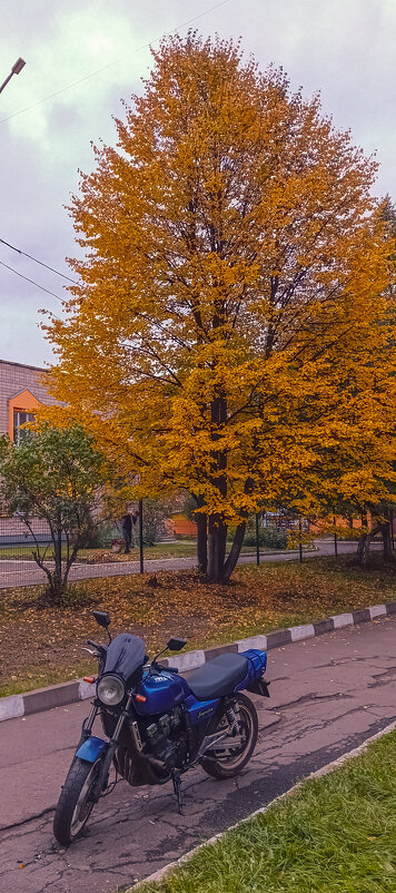 Город в деталях - Леонид Абросимов