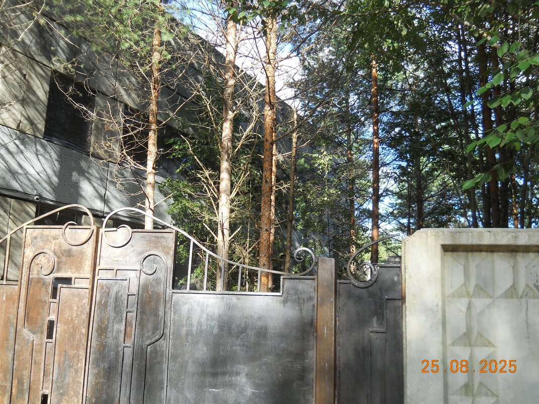 заброшка Талдом - fogmeadowww m