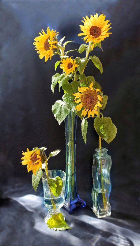 Осенний подарок природы! - veilins veilins Осенний подарок природы! - veilins veilins