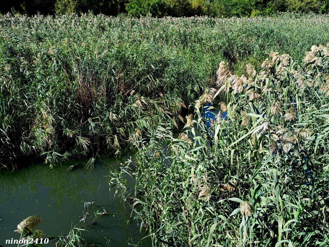 В ростовском экопарке Первая миля - Нина Бутко