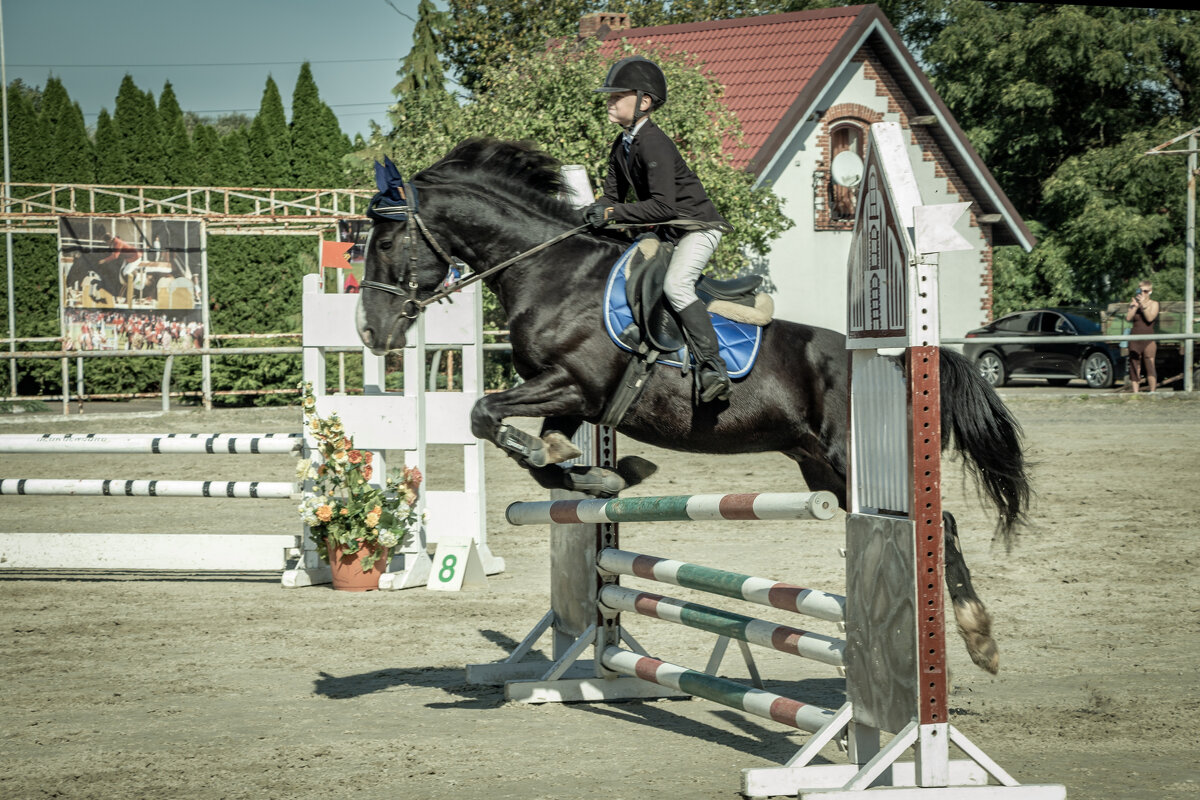 Это конкур - Sergey 