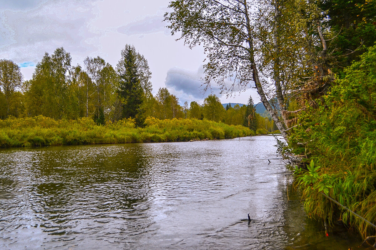 Берега. - юрий Амосов
