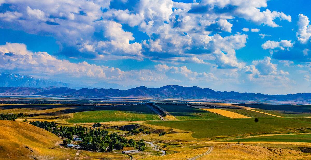 «Ширь казахских степей» - Алтынбек Картабай 