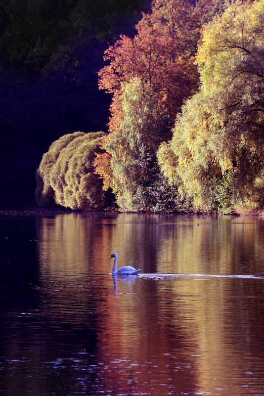 Царицыно утром 22 сентября - Михаил Бибичков