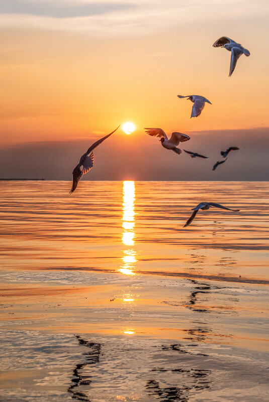 В новый день - Ирина 